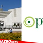 KP Senate Elections: Mishal Yousafzai Seeks PTI Ticket, Contacts Barrister Gohar