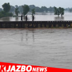 Wazirabad Flood Tragedy: Three Newborns Die Due to Lack of Timely Medical Aid