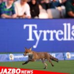 ICC Fines Australian Cricketer Tim David for Code of Conduct Breach During West Indies T20I Series