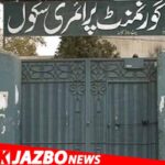 Federal Government Unveils Three-Phase Plan to Privatize 24 State-Owned Enterprises, Including PIA and Utility Stores