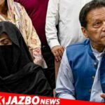 FIR Lodged Over Alleged Kidnapping of PTI Leader Sanam Javed