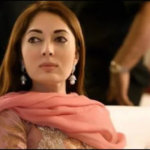 Overseas Pakistanis get major facility