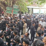 Muhammad Ali Malik appointed deputy governor of State Bank of Pakistan