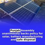Raja Pervaiz Ashraf backs medical rights for PTI chief, differs with government on solar policy
