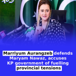 KP Assembly seeks Article 6 action against Maryam Nawaz over terrorism remarks